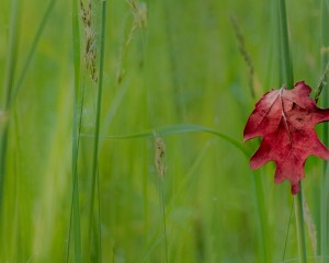 Platz-004-Index-004-Bild-15-Ruth-Sommer