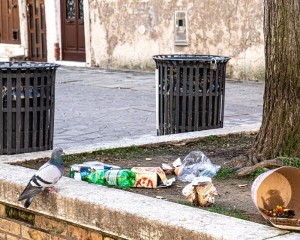 Platz-005