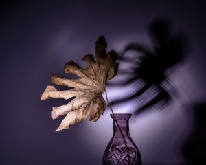 Platz-005-Ruth-Sommer