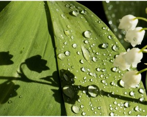 Platz-006-Siegfried-Bruckmeier