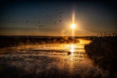 2021-03 Gegenlicht