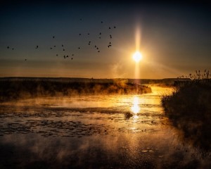 Platz-001-Roland-Hank