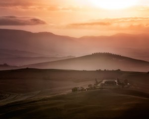 Platz-005-Roland-Hank