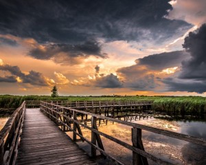 Platz-009-Robert-Span