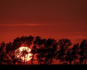 Platz-009-Sebastian-Schumann