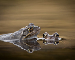 Platz-001-Michael-Konrad