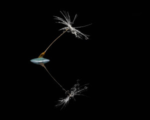 Platz-004-Michael-Konrad