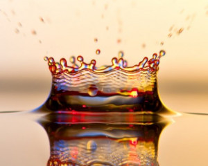 Platz-008-Stefan-Radinger