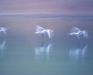 Platz-001-Peter-Ernszt