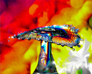 Platz-009-Georg-Porzelt