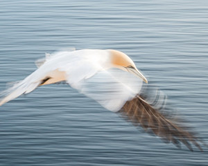 Platz-009-Peter-Ernszt