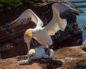 Platz-001-Peter-Ernszt