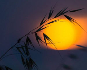 Platz-003-Michael-Konrad-2