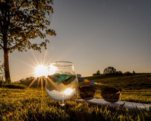 Platz-006-Ruth-Sommer-2