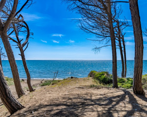 Platz-009-Michael-Konrad