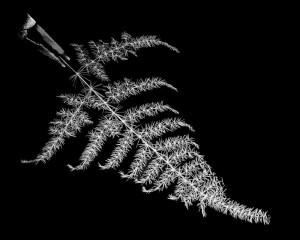 Platz-006-Bild-3-Ruth-Sommer