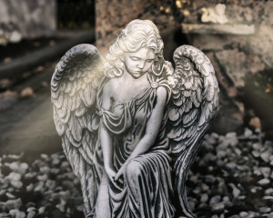 Platz-008-Ruth-Sommer