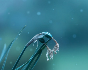 Platz-007-Index-007-Bild-19-Ruth-Sommer