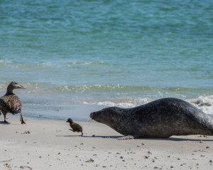 Platz-003-Peter-Ernszt