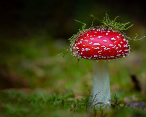 Platz-001-Michael-Konrad