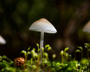 Platz-002-Ruth-Sommer