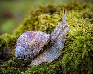 Platz-003-Michael-Konrad