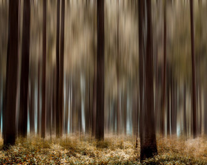 Platz-006-Ruth-Sommer