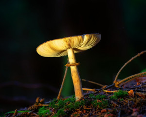 Platz-007-Gerhard-Hein