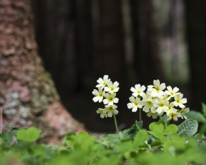 Platz-008-Gerhard-Mueller