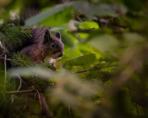 Platz-009-Michael-Konrad