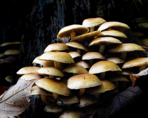 Platz-009-Peter-Reder