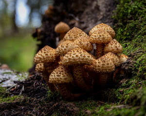 Platz-009-Sebastian-Schumann