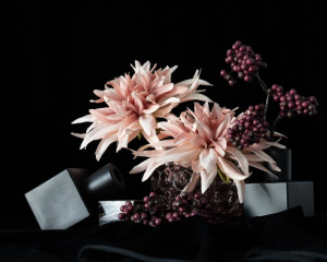 Platz-007-Ruth-Sommer