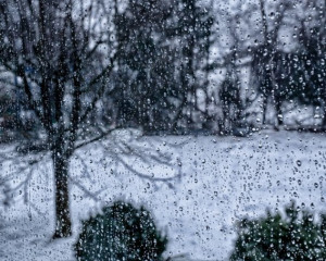 Platz-008-Ruth-Sommer