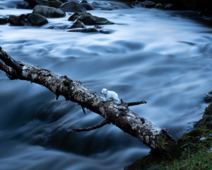 Platz-002-Ruth-Sommer