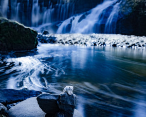 Platz-007-Ruth-Sommer