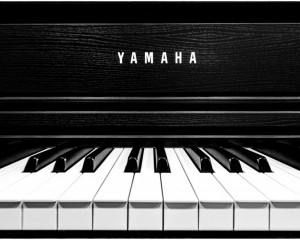 Platz-004-Ruth-Sommer