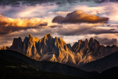 2023-11 - Natur im Dämmerlicht