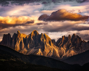 Platz-001-Roland-Hank