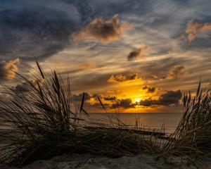 Platz-002-Michael-Konrad