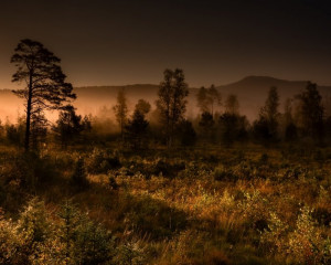 Platz-003-Ruth-Sommer