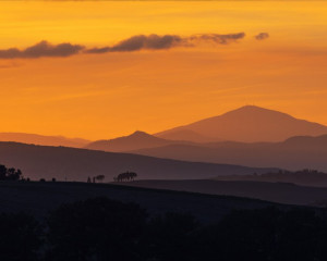 Platz-005-Robert-Span