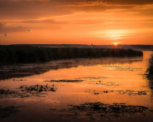 Platz-007-Peter-Ernszt