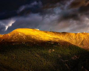 Platz-007-Roland-Hank