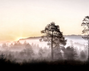 Platz-001-Ruth-Sommer