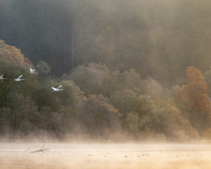 Platz-004-Peter-Ernszt