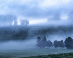 Platz-008-Ruth-Sommer