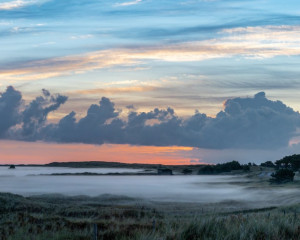 Platz-009-Michael-Konrad