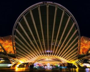 Platz-006-Roland-Hank