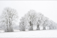 2024-03 - Frost